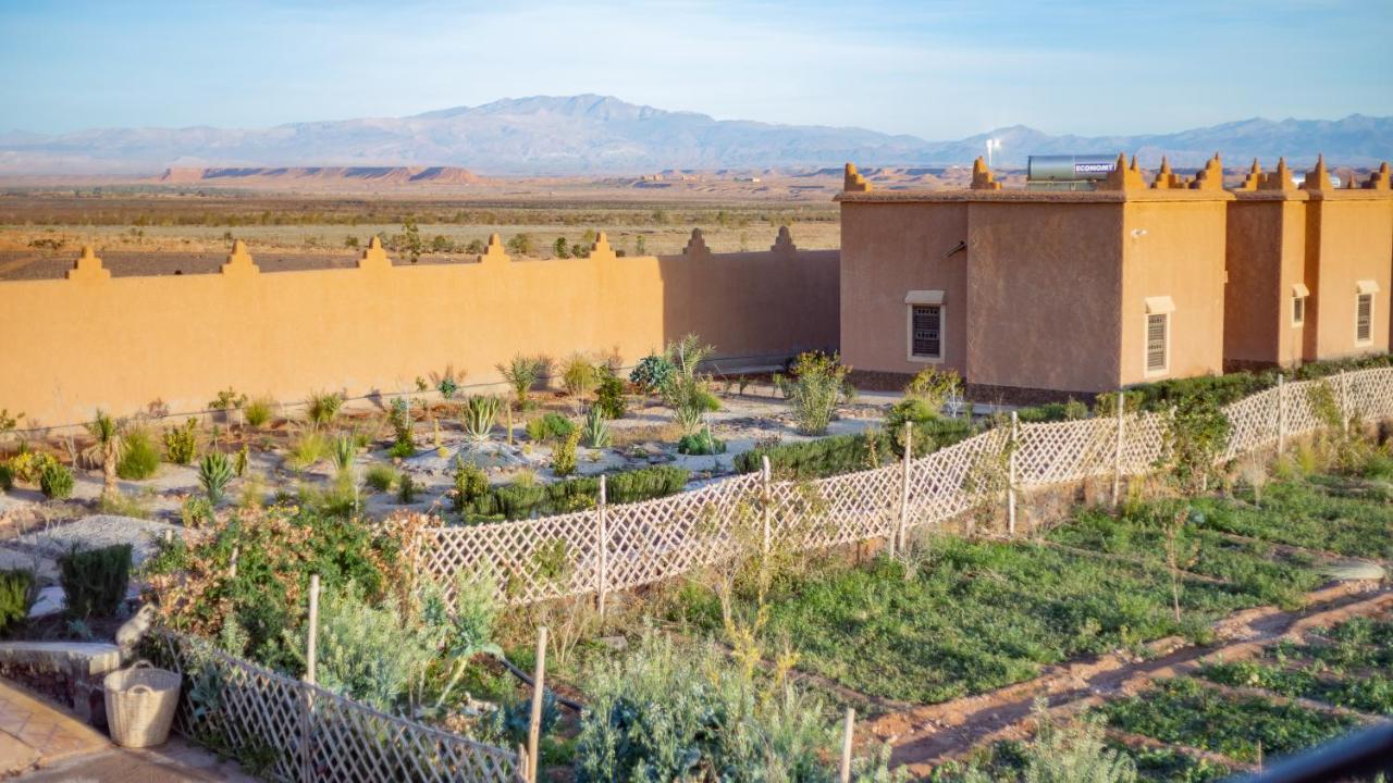 Ecolodge L'Ile De Ouarzazate Tarmigt Exterior photo